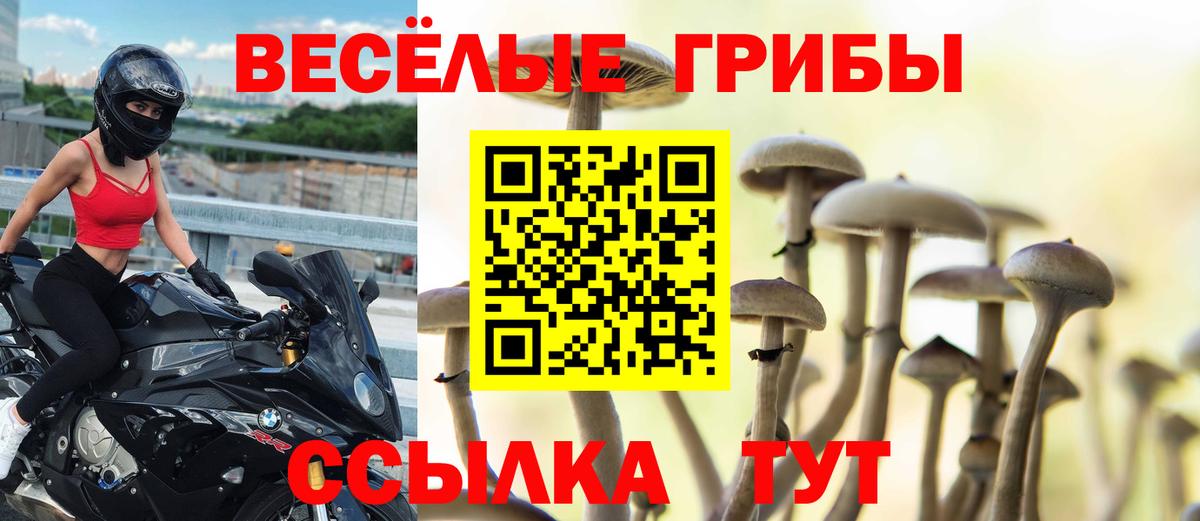 Гудермес  Псилоцибиновые грибы прущие грибы  Вход с VPN 