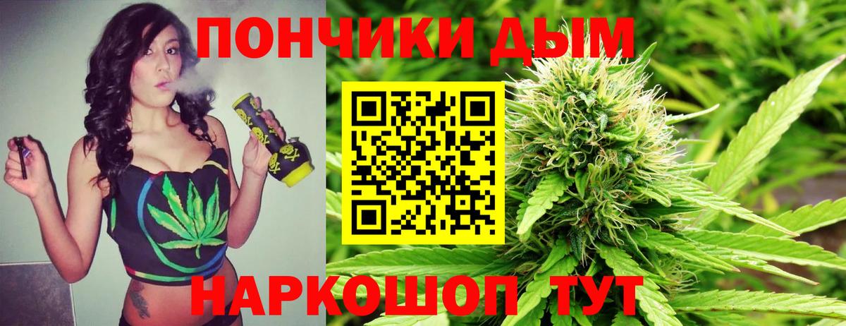 Конопля конопля Гудермес