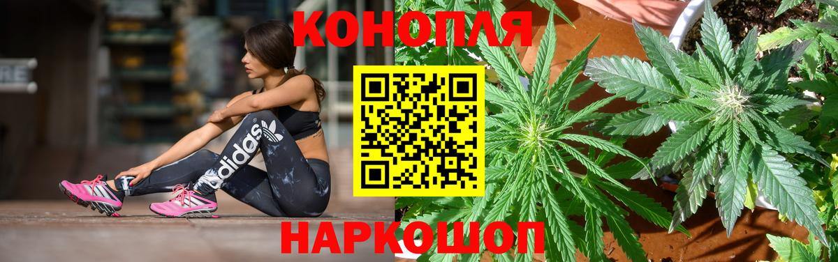 Гудермес  Конопля MAZAR  Вход с VPN  Бошки Шишки OG Kush 